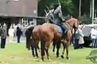 Horse Decides He's Had Enough During Veterans Reunion