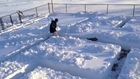 Dog In A Snow Maze