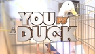 Four Comedy Writers Play Trivia Against A Duck. Guess Who Wins.