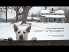 Savour Every Moment - Director's Cut