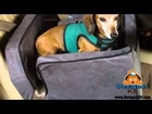 Dog Car Seats For Small Dogs From Designer K9