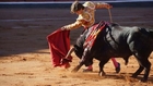 Eduardo Gallo, torero de Salamanca (photos)