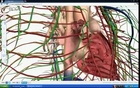 Best 3D Human Anatomy Software For biology students.