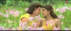 Nuvvu Puttinadi Video Song (Krrish Telugu Movie) - Ft. Hrithik Roshan & Priyanka Chopra
